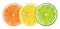 Fresh citrus fruits