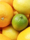 Fresh citrus fruits