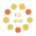 Fresh citrus fruits with circle frame. lemons, oranges, tangerines, limes and grapefruit. Hello summer. Vector illustration