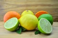 Fresh citrus fruits Royalty Free Stock Photo