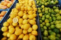 Fresh citrus fruits at farm market in harvest season Royalty Free Stock Photo