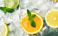 Fresh citrus fruits with mint on ice cubes Royalty Free Stock Photo