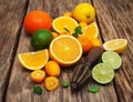 Fresh citrus fruits and old juicer Royalty Free Stock Photo