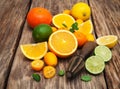 Fresh citrus fruits and old juicer Royalty Free Stock Photo