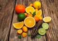 Fresh citrus fruits and old juicer Royalty Free Stock Photo