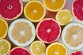 Fresh citrus fruits orange, lemon, grapefruit, pomelo half-sliced from above, pattern for layout. concept of healthy eat food and