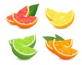 Fresh citrus fruits set. Orange grapefruit lemon lime isolated vector illustration. 3d realistic vector