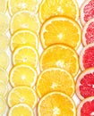 Fresh Citrus Fruits Slices Background. Top View. Royalty Free Stock Photo