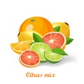 Fresh citrus fruits vector illustration isolated on white background Royalty Free Stock Photo
