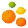Fresh citrus fruits vector set Royalty Free Stock Photo
