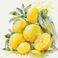 Fresh citrus fruits. Watercolor citrus, lime, orange, lemon whole and slices