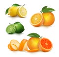 Fresh citrus fruits whole and halves. Royalty Free Stock Photo