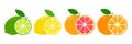 Fresh citrus fruits whole and halves of lime, lemon, grapefruit and orange.