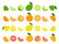 Fresh citrus fruits whole and halves of lime, lemon, grapefruit and orange set. Royalty Free Stock Photo