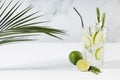 Fresh citrus infused homemade lemonade with ice cubes, lime slices, green rosemary twig, silver straw, tropical palm leaf. Royalty Free Stock Photo