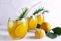 Fresh citrus juice in glasses standing in a row and ripe tangerins. Cold summer drink with citrus slices, ice and rosemary branch Royalty Free Stock Photo