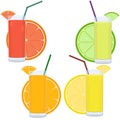 Fresh citrus juice set with slices of citrus Royalty Free Stock Photo