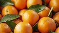 fresh citrus oranges for the background