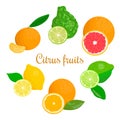 Fresh Citrus set. orange, lemon, lime, bergamot, tangerine and grapefruit Royalty Free Stock Photo