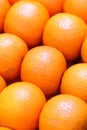 Fresh citrus tankan background