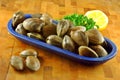 Fresh Clams Royalty Free Stock Photo