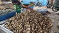 Fresh of clams in the market lokan
