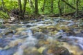 Fresh and clean stream in tropical rainforest. Royalty Free Stock Photo