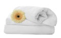 Fresh clean towels, bed sheet and gerbera on white Royalty Free Stock Photo