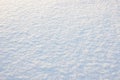 Fresh clean white snow background texture. Winter background with frozen snowflakes. Royalty Free Stock Photo