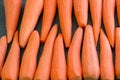 Fresh cleared yellow orange red carrot vegetables prepared for cooking healthy vegan food