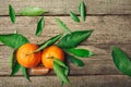 Fresh Clementine or Mandarin orange with leaves on wooden background. Royalty Free Stock Photo