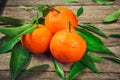 Fresh Clementine or Mandarin orange with leaves on wooden background Royalty Free Stock Photo