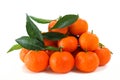 Fresh clementines organic farming, on a white background