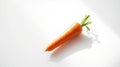 Single Carrot on White Surface Royalty Free Stock Photo