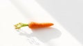 Single Carrot on White Surface Royalty Free Stock Photo