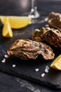 Fresh closed oysters with lemon on slate plate