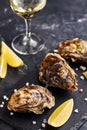 Fresh closed oysters with lemon on slate plate