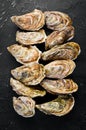 Fresh closed oysters. Seafood On a black stone background.