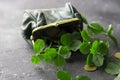 Fresh clover leaves from a green purse and gold coins are scattered on a dark background. St. Patrick`s Day concept. Copy space Royalty Free Stock Photo