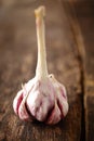 Fresh cloves of aromatic garlic Royalty Free Stock Photo