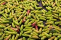 Fresh cloves harvested from field is being dried