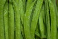 Fresh Cluster Bean or Guar Also Known as Gavar