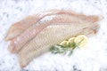 Fresh coalfish Royalty Free Stock Photo