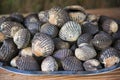 Fresh cockles for sale at the market Royalty Free Stock Photo