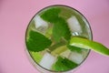 Fresh cocktail drinks with ice fruit and herb mint decoration. Alcoholic non-alcoholic drink-beverage. Mojito on pink