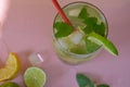 Fresh cocktail drinks with ice fruit lime and herb mint decoration. Alcoholic non-alcoholic drink-beverage. Mojito on