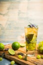 Fresh cocktail with grape, lime and basil leaves Royalty Free Stock Photo