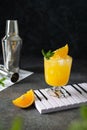 Fresh cocktail with orange and ice. Alcoholic, non-alcoholic drink-beverage. Aperitif with vodka, orange juice and mint. Classic Royalty Free Stock Photo