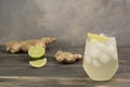 Fresh cocktail prepared with ginger beer, lime and ice. Beverage on the table. Image contains copy space for text. Fresh Royalty Free Stock Photo