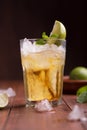 Fresh cocktail prepared with ginger beer, lime and ice Royalty Free Stock Photo